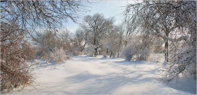 природа Если б не было тебя... фото превью