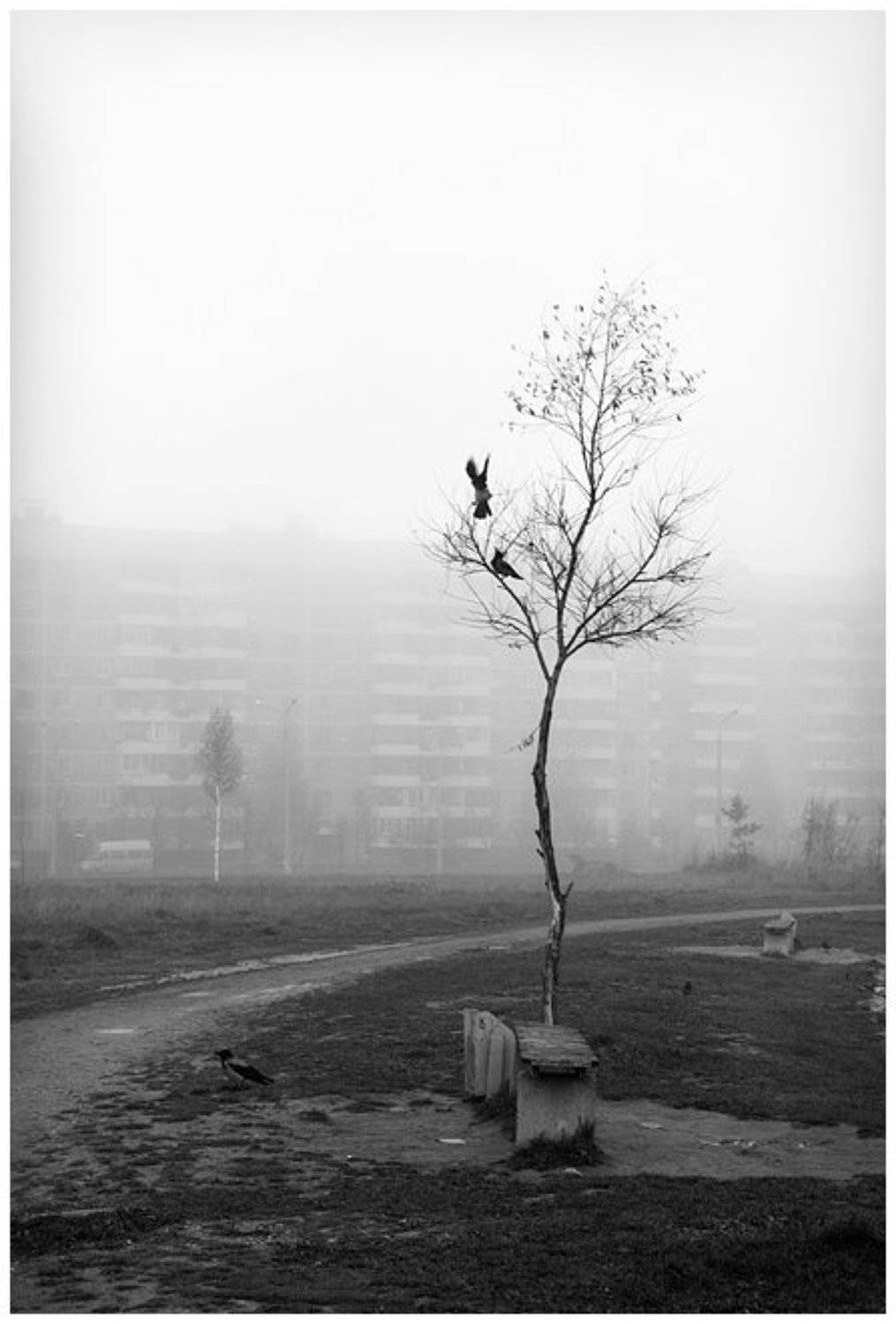 , Александр Гришаев