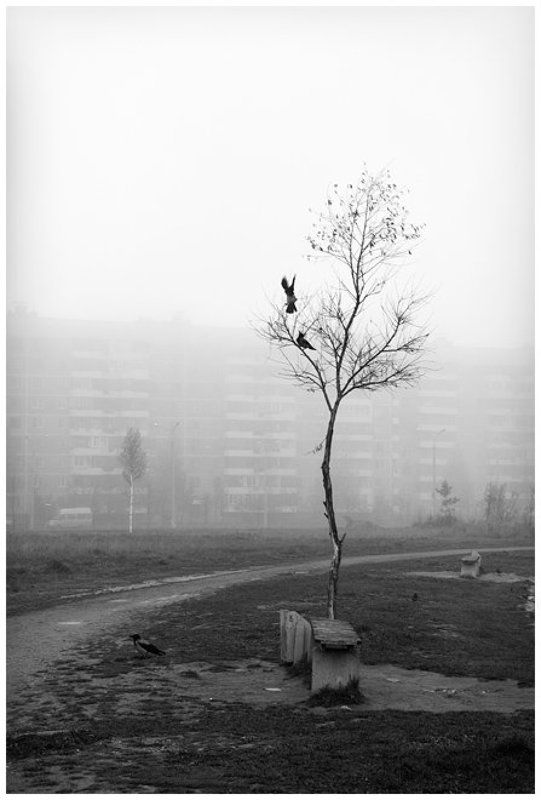 ... фото превью