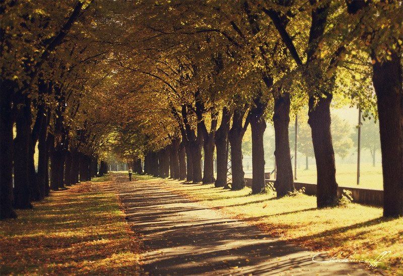 Indian summer фото превью