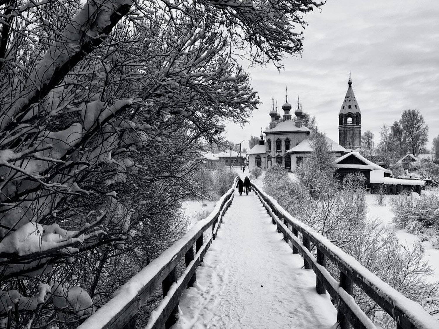 , Максим Евдокимов