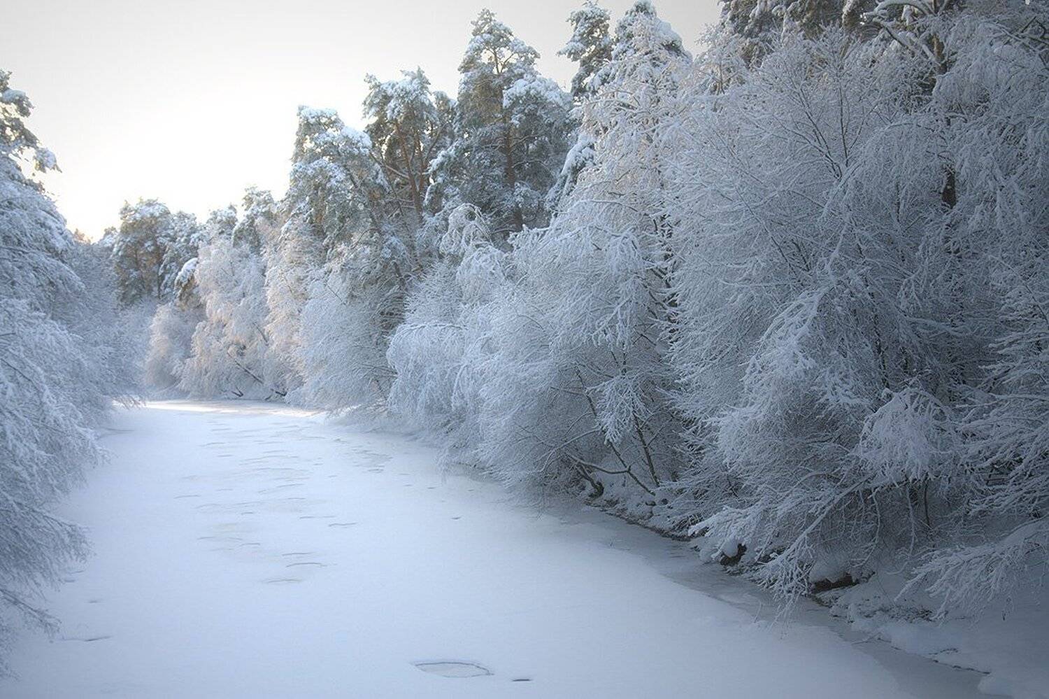 , Владимир Георгиевич