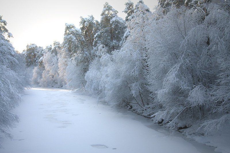 Над реекой фото превью