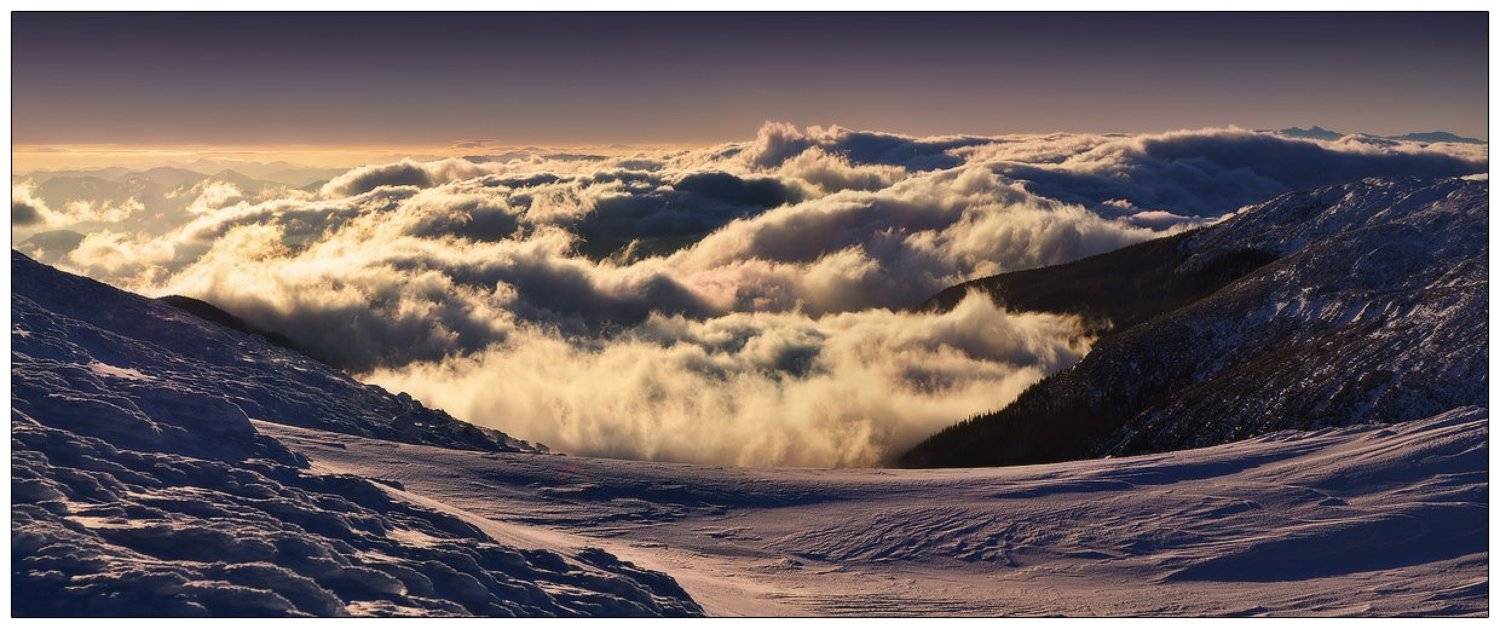 , Денис Кривой