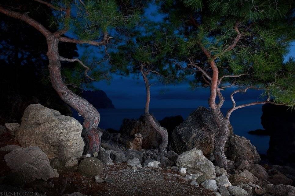 , Konstantyn Kuznetsov