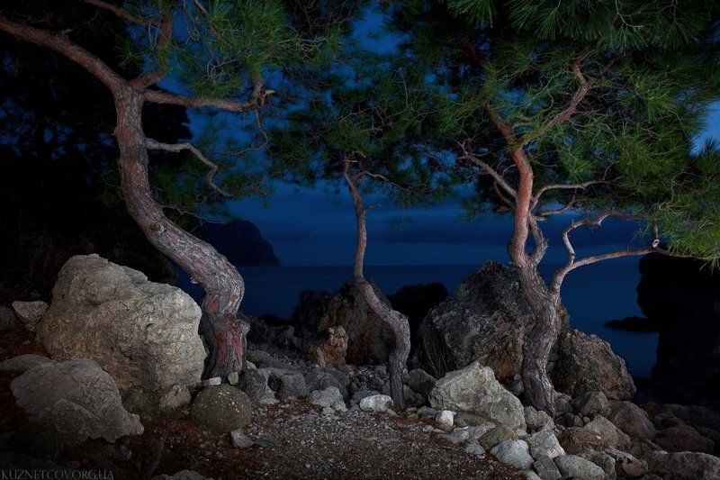 Ночь в Балаклаве фото превью