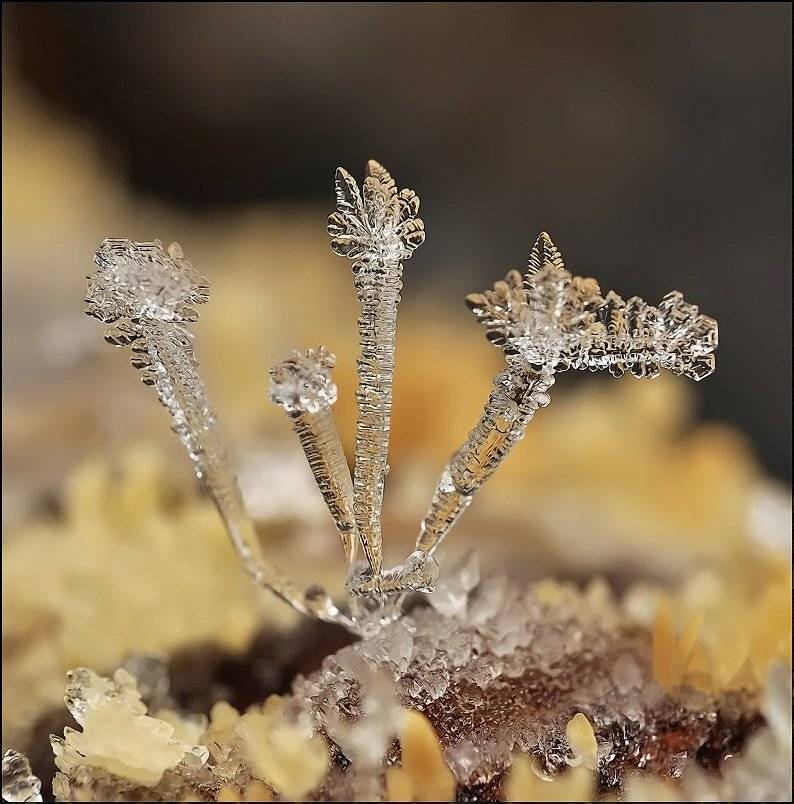 макро, Андрей Осокин