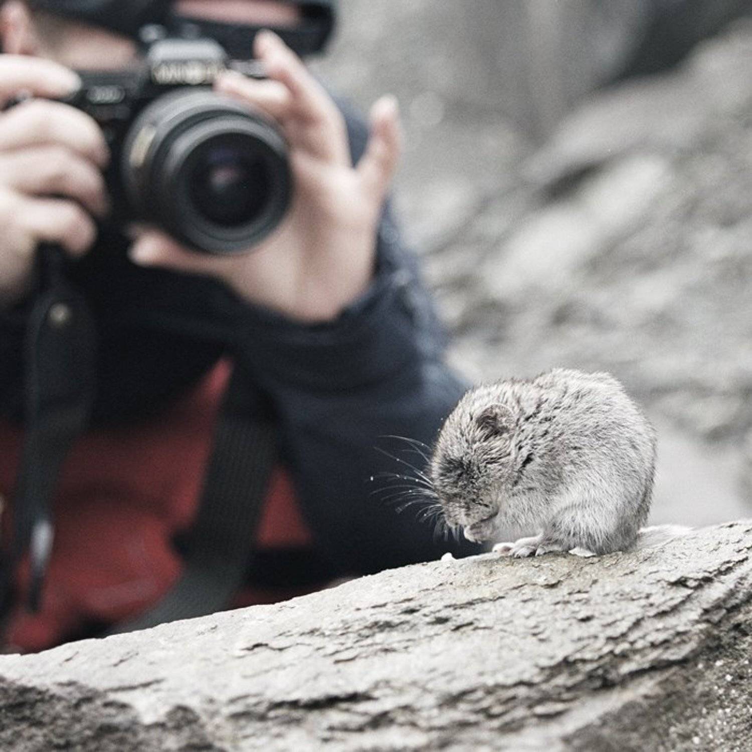 , Илья Долгов