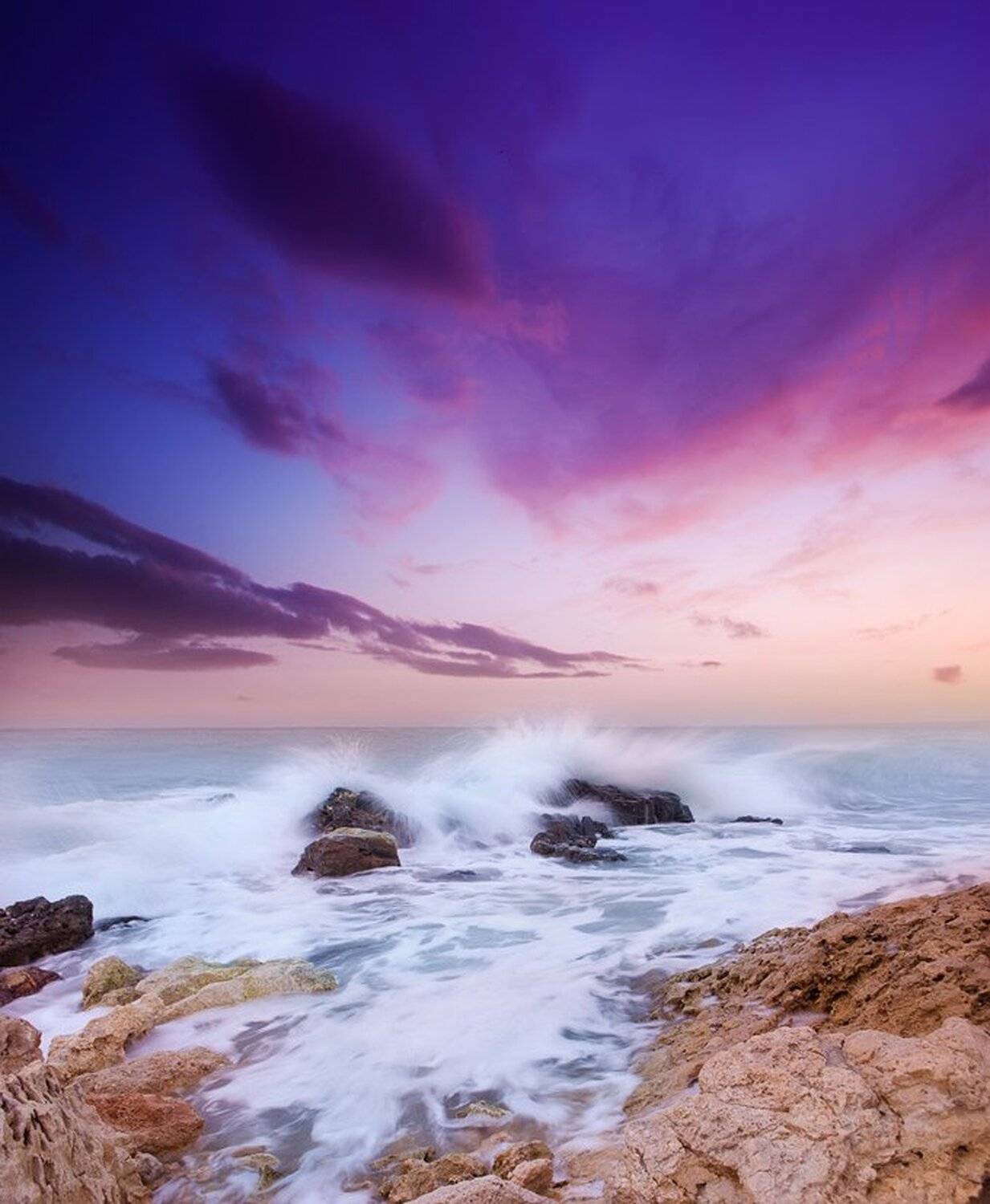 , Яна  Гайворонская