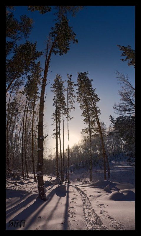 Январьская лыжня фото превью