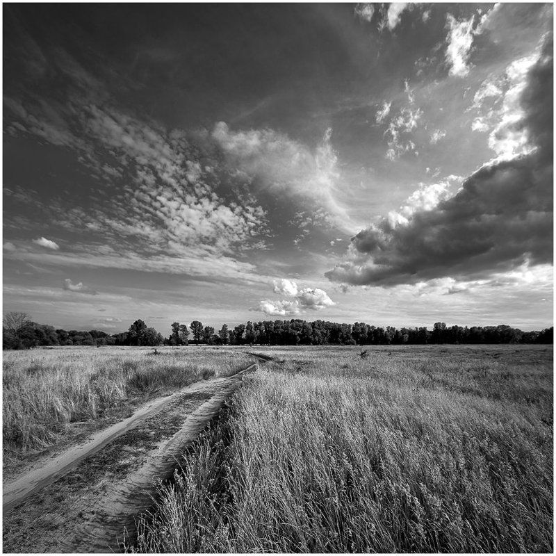 Летняя пастораль... Июнь... фото превью