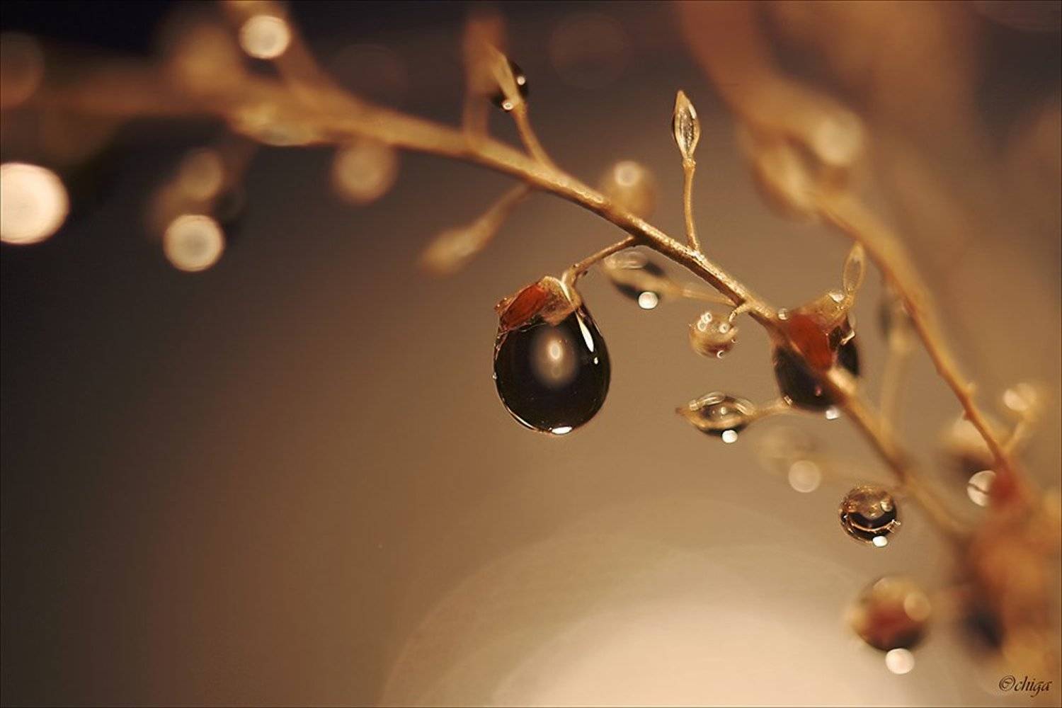 вода, капли, Chiga