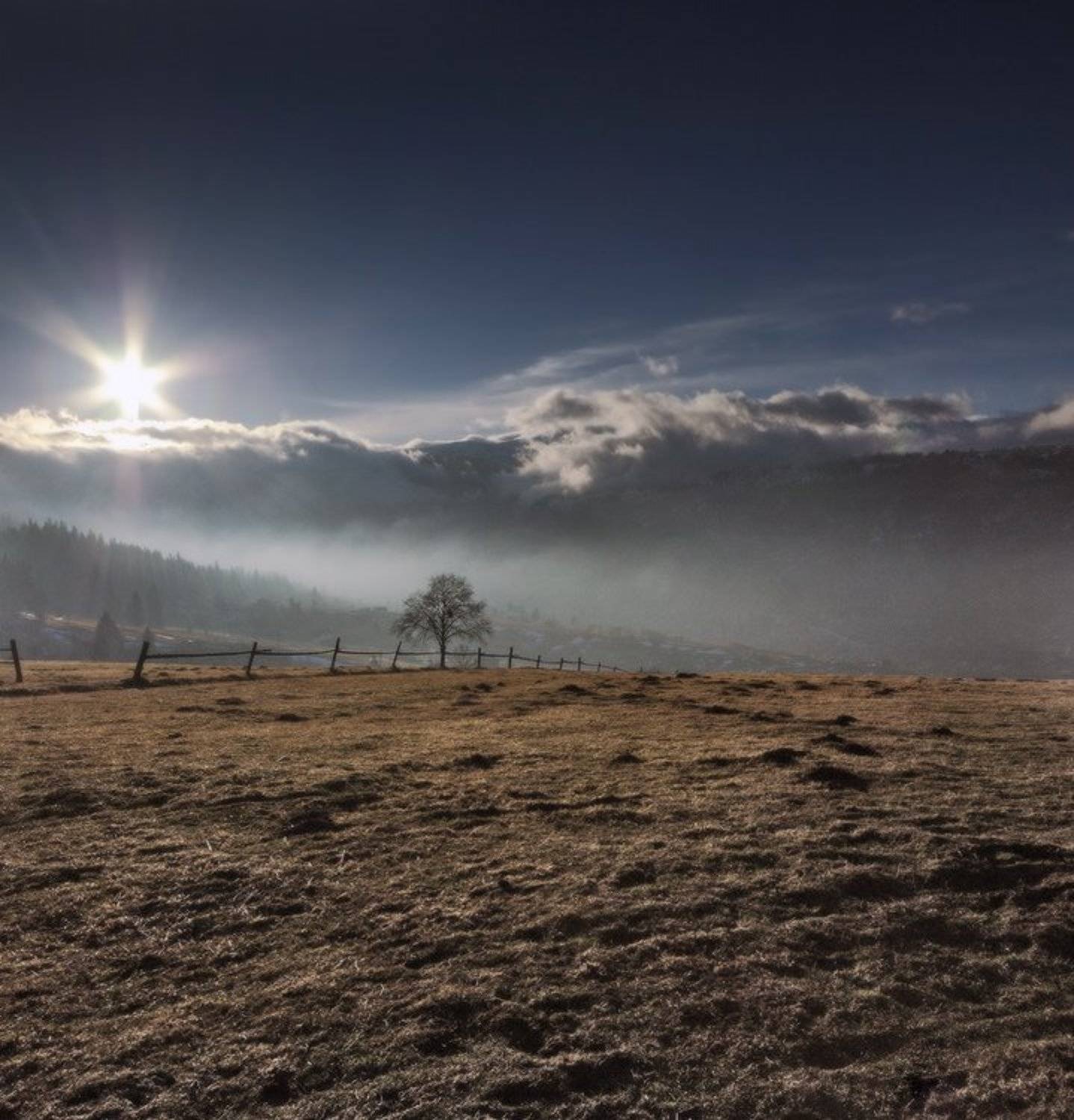 карпаты, природа, пейзаж, лето, панорама, горы, Piligrim