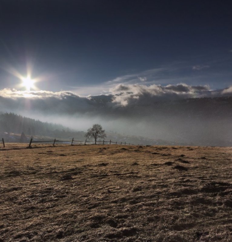 карпаты, природа, пейзаж, лето, панорама, горы *** фото превью