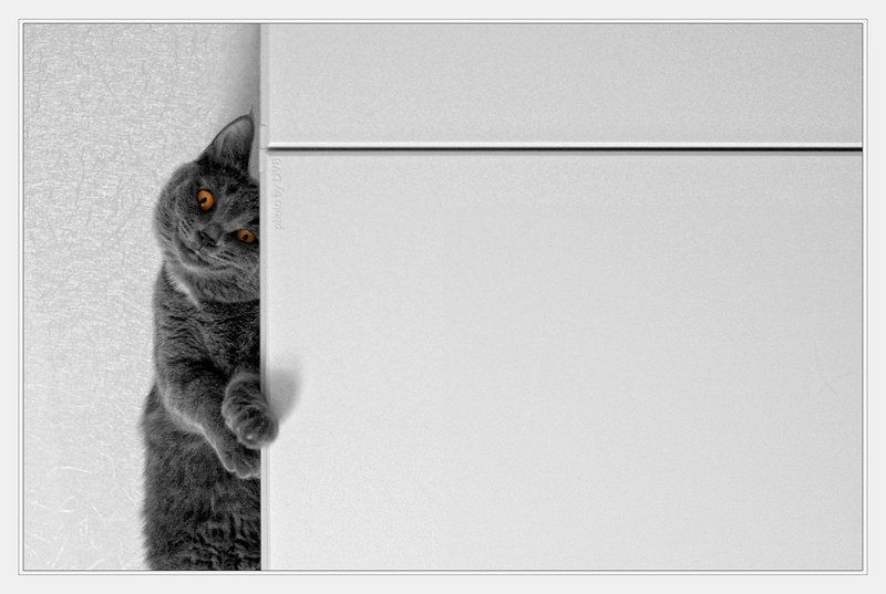 лошарик Life is cool фото превью