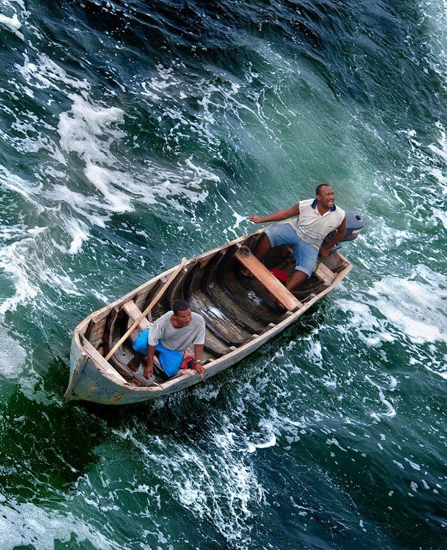 рыба здесь фото превью