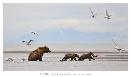 Удачная рыбалка
