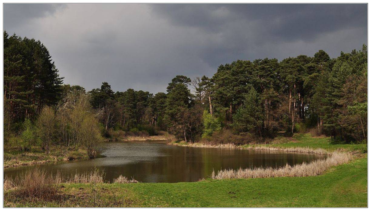 , Володимир Карчевський