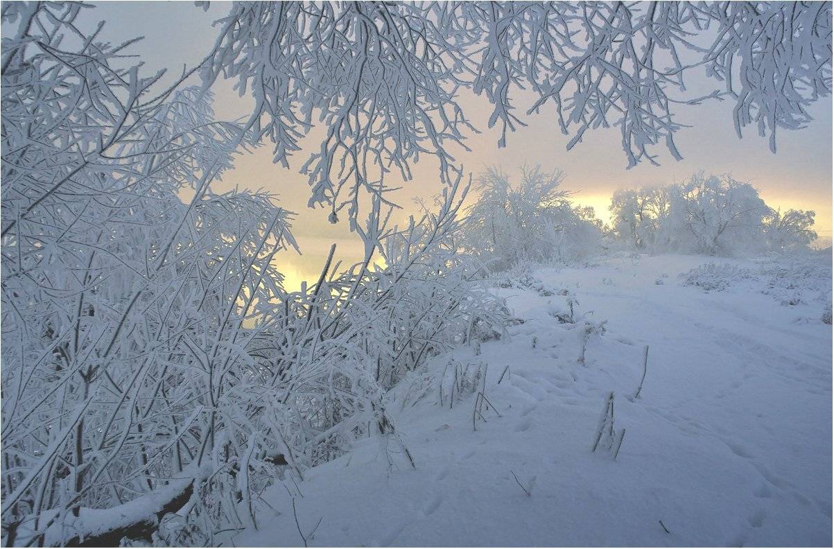 подмосковье, зима, островцы, москва-река, закат, Сергей Гаспарян