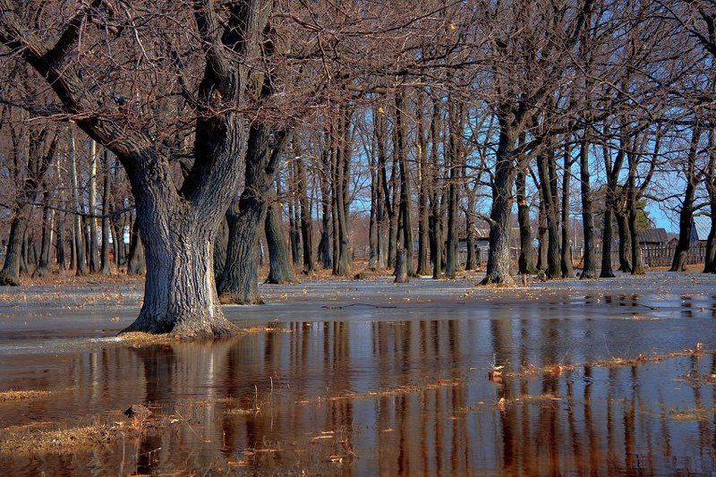 canon 40d, ef-s 17-85 mm f 4-5.6 is usm *** фото превью