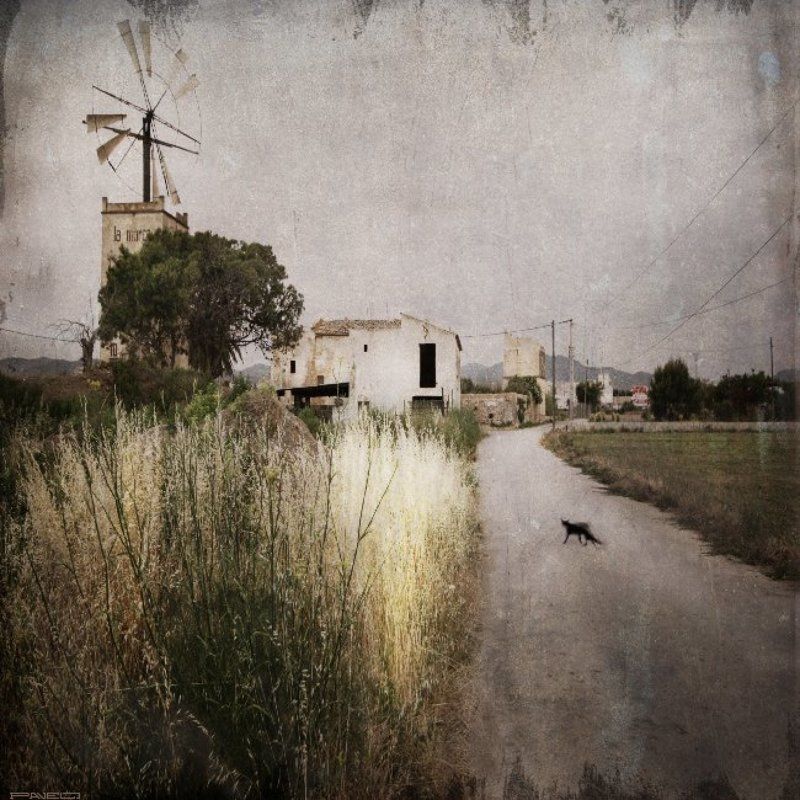 alone La Marca -10 фото превью