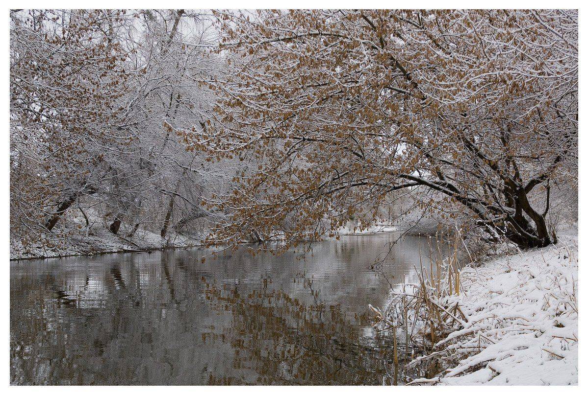 , Николай Шахманцир