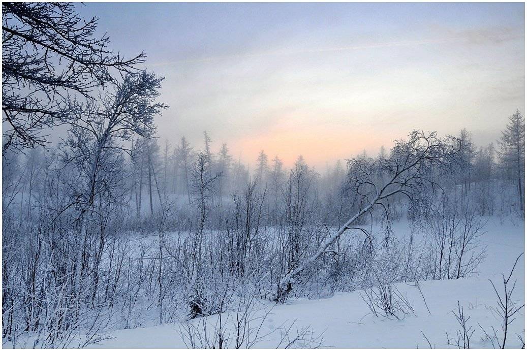 таймыр, Vladimir