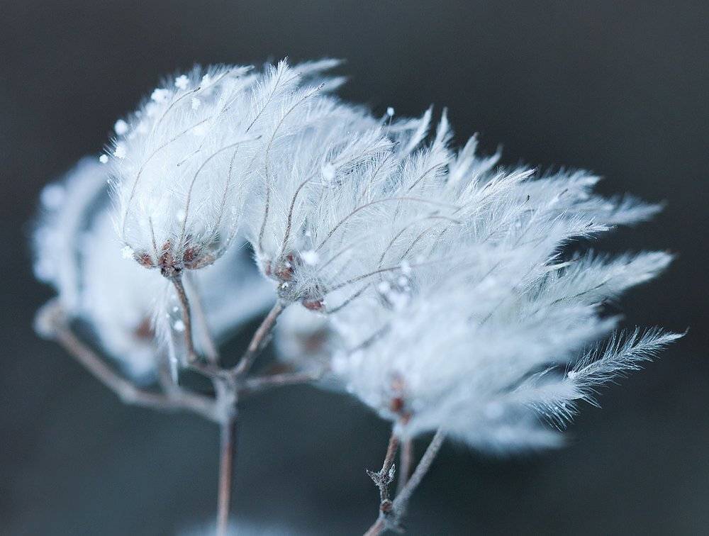 , Владимир Точаненко