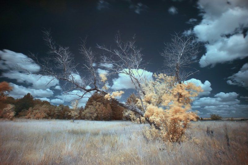 ir IR фото превью