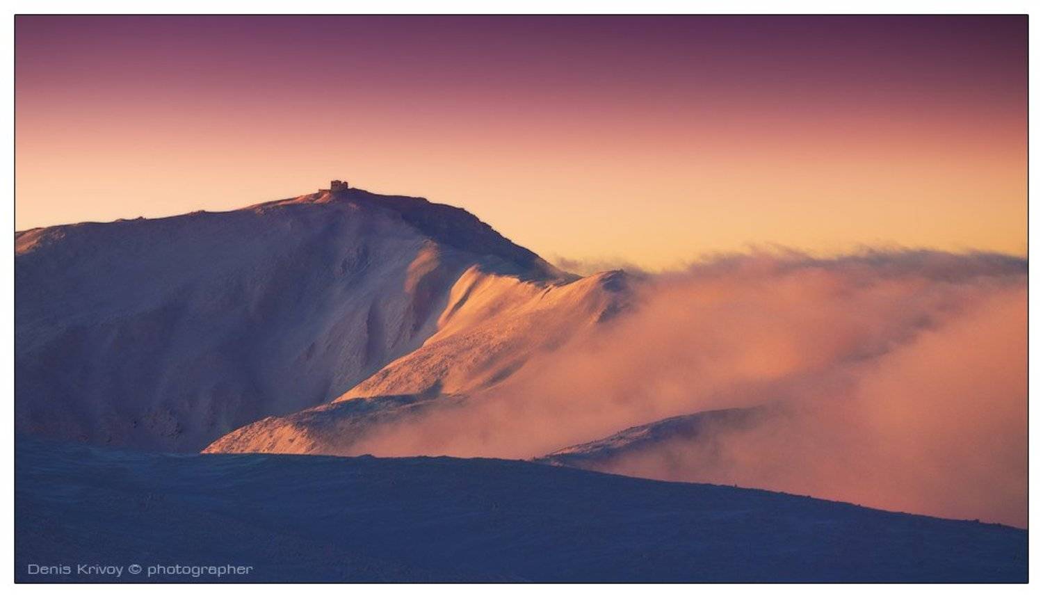 , Денис Кривой