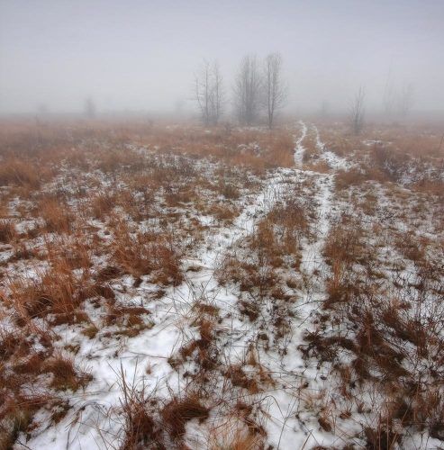 Февральская оттепель