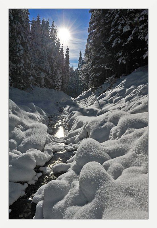ручей. Текущий к солнцу. фото превью