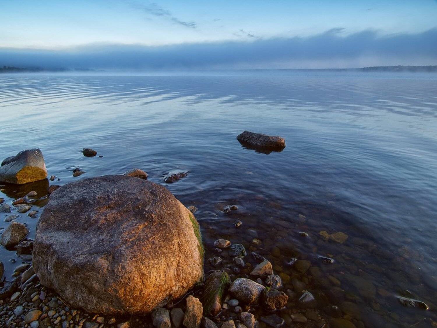 , Максим Евдокимов
