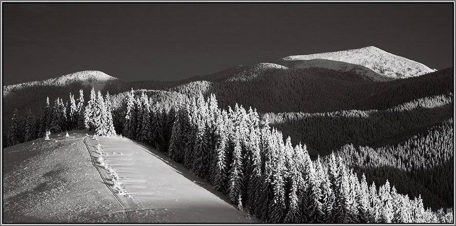 карпаты, Тарас