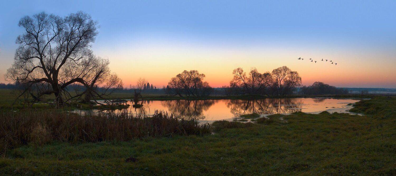 осень, пейзаж, пруд, Oleg Dmitriev