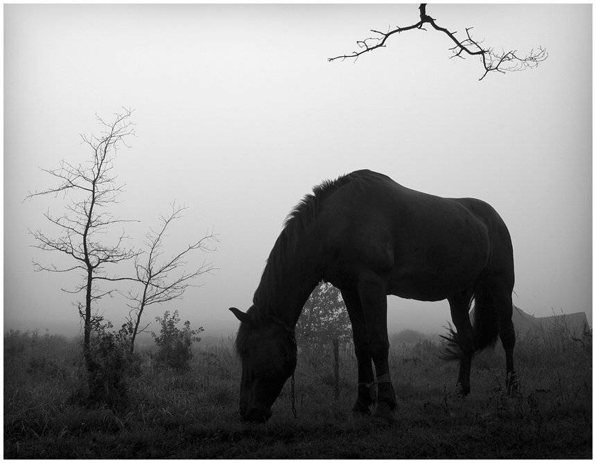 , Александр Гришаев