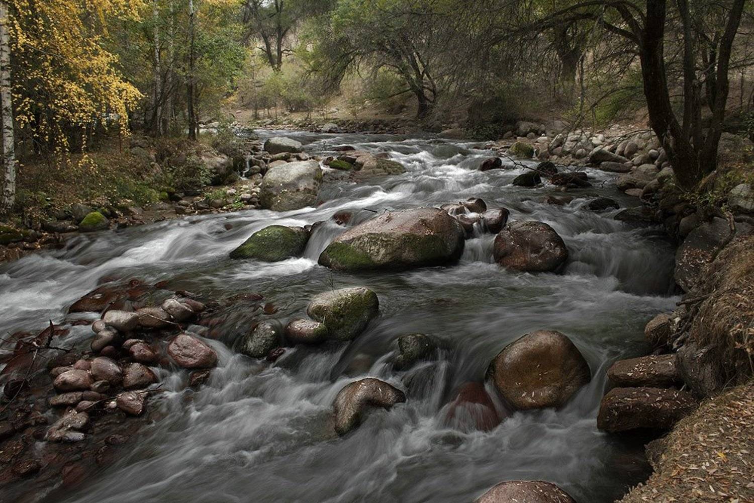 река, лес, камни, Silfida