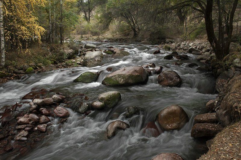 река, лес, камни Вечное движение. фото превью