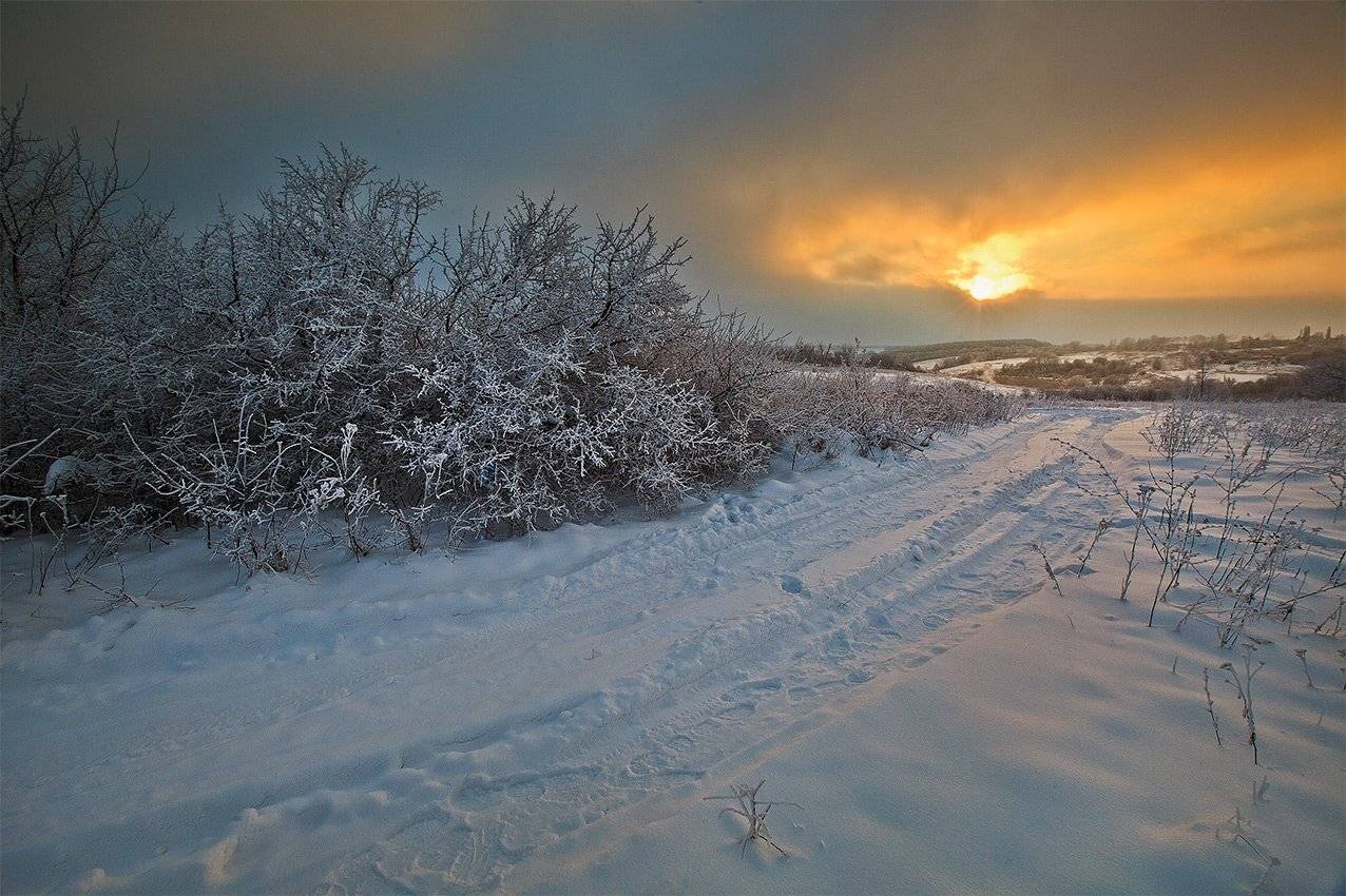 , Петр Антонович