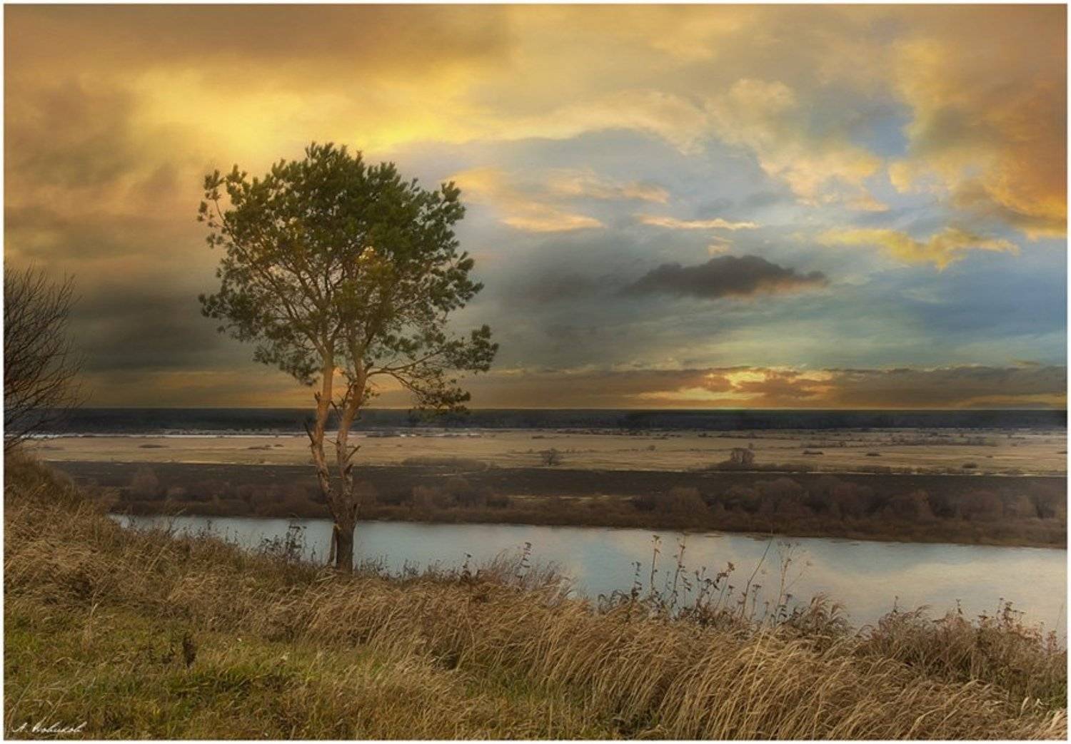 , Алексей Новиков