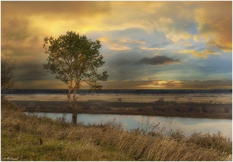 *** фото превью