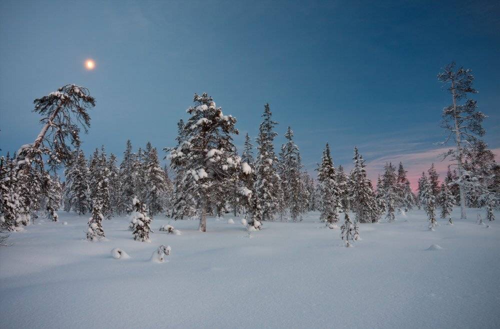 кольский, полуостров, зима, locus