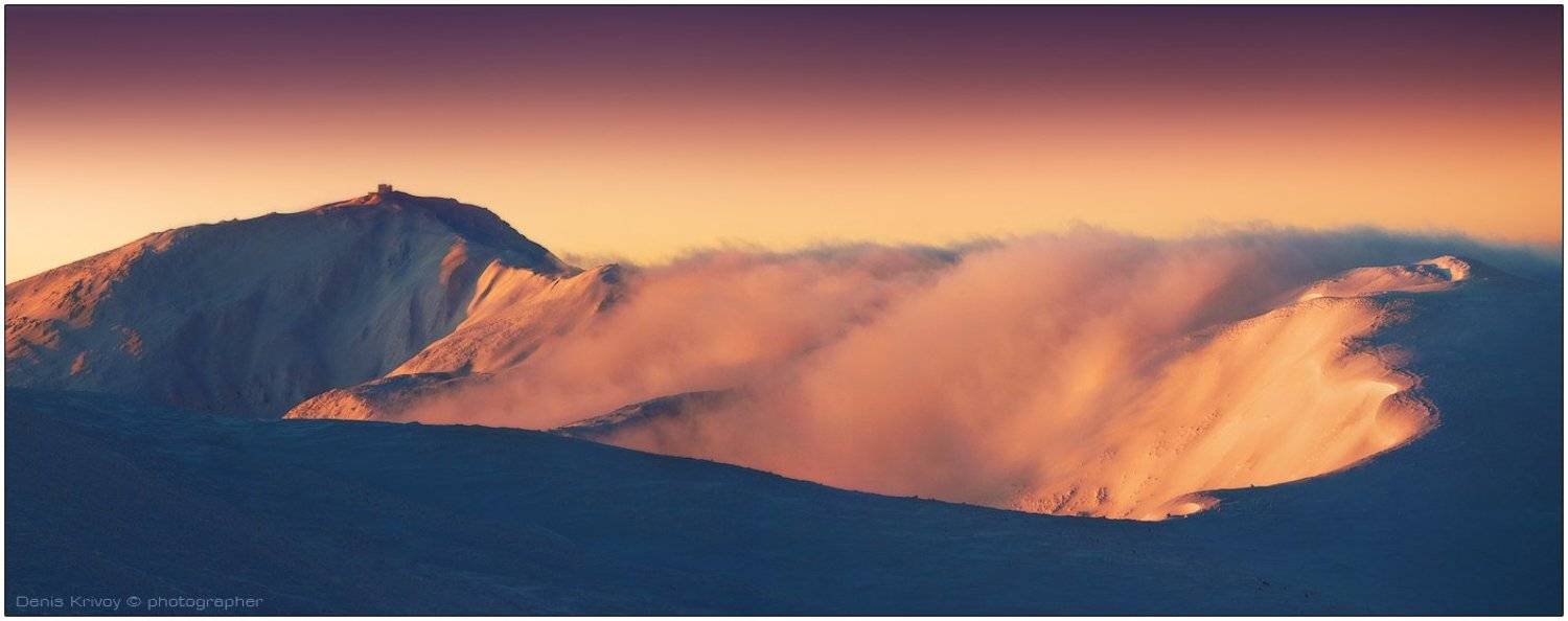 , Денис Кривой