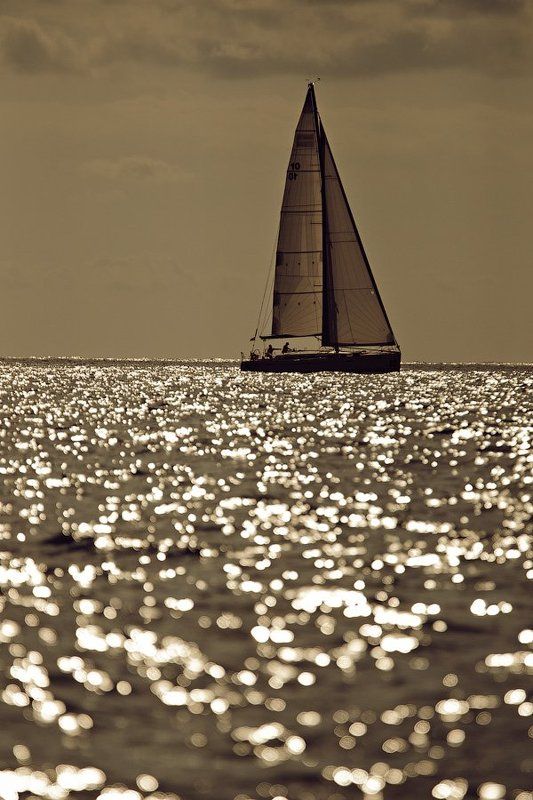 море  фото превью