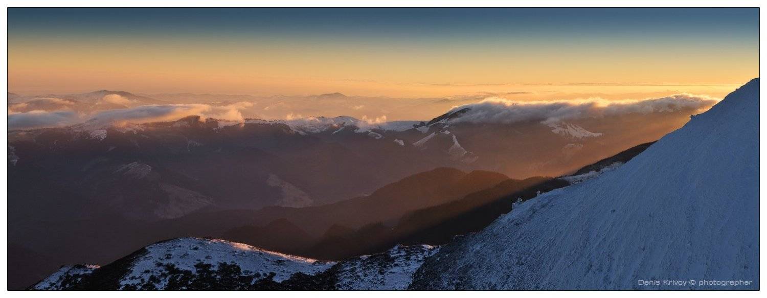 , Денис Кривой