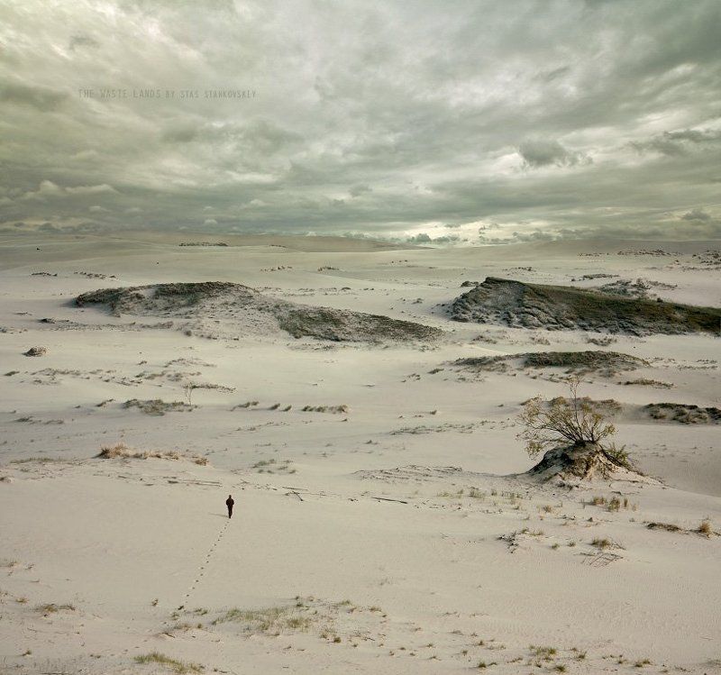 The Waste Lands фото превью