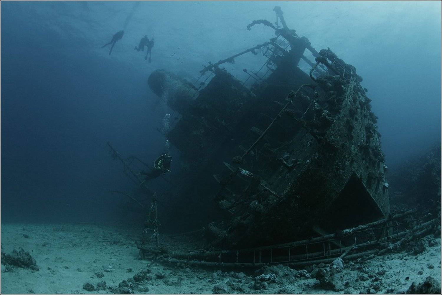 , Игорь Гущин