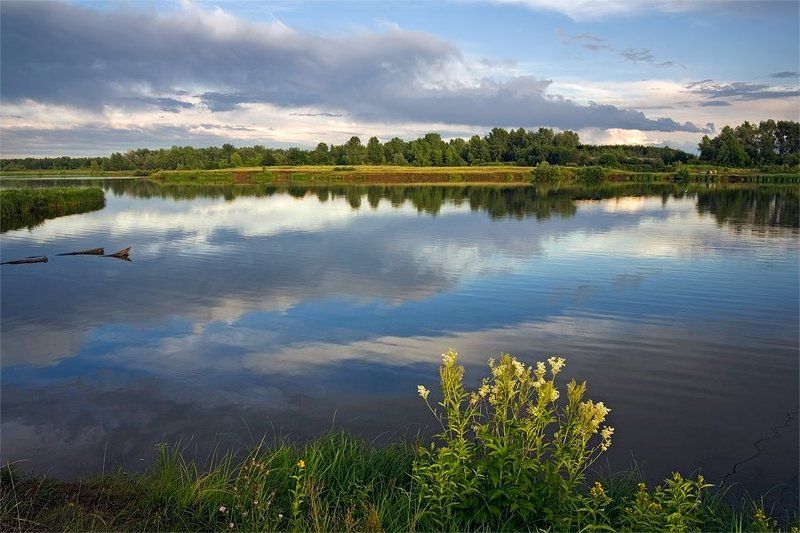 без названия фото превью
