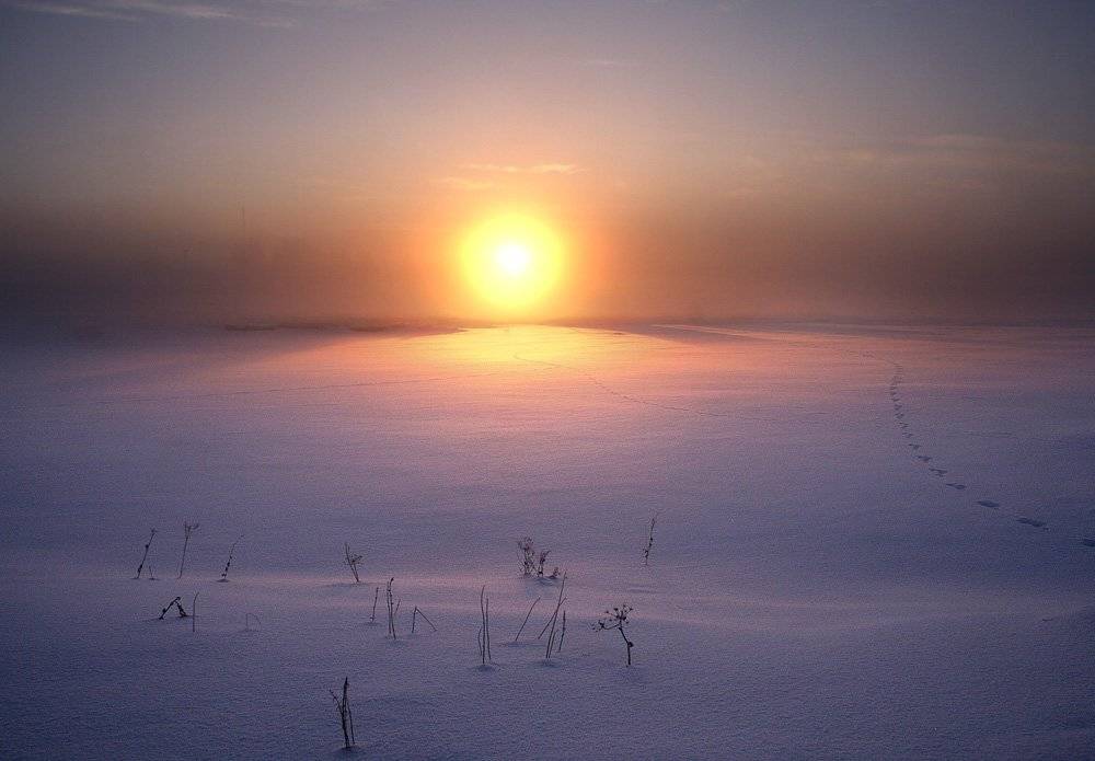 , Александр Коротков