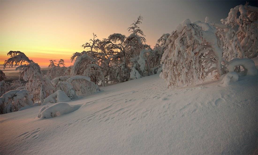 кольский, полуостров, зима, locus
